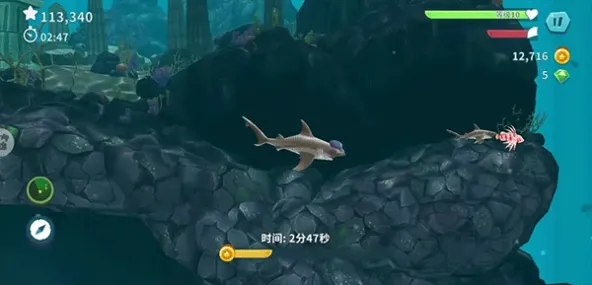 Hungry Shark