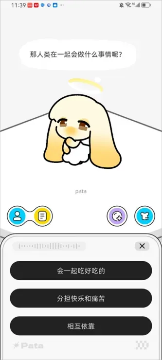 Pata