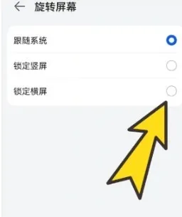 bobo浏览器