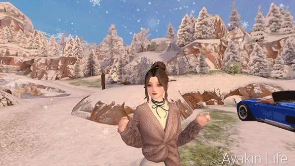 Avakin Life