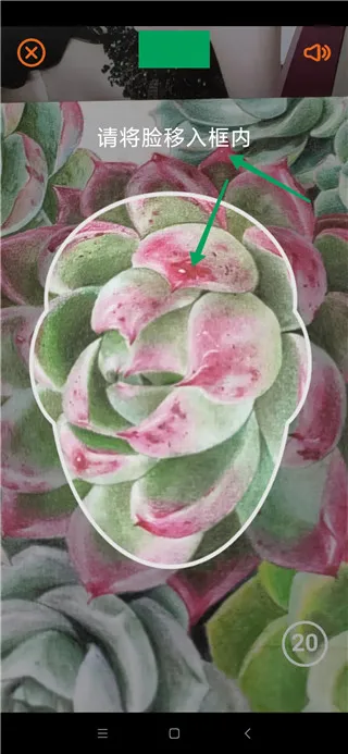 老来健康